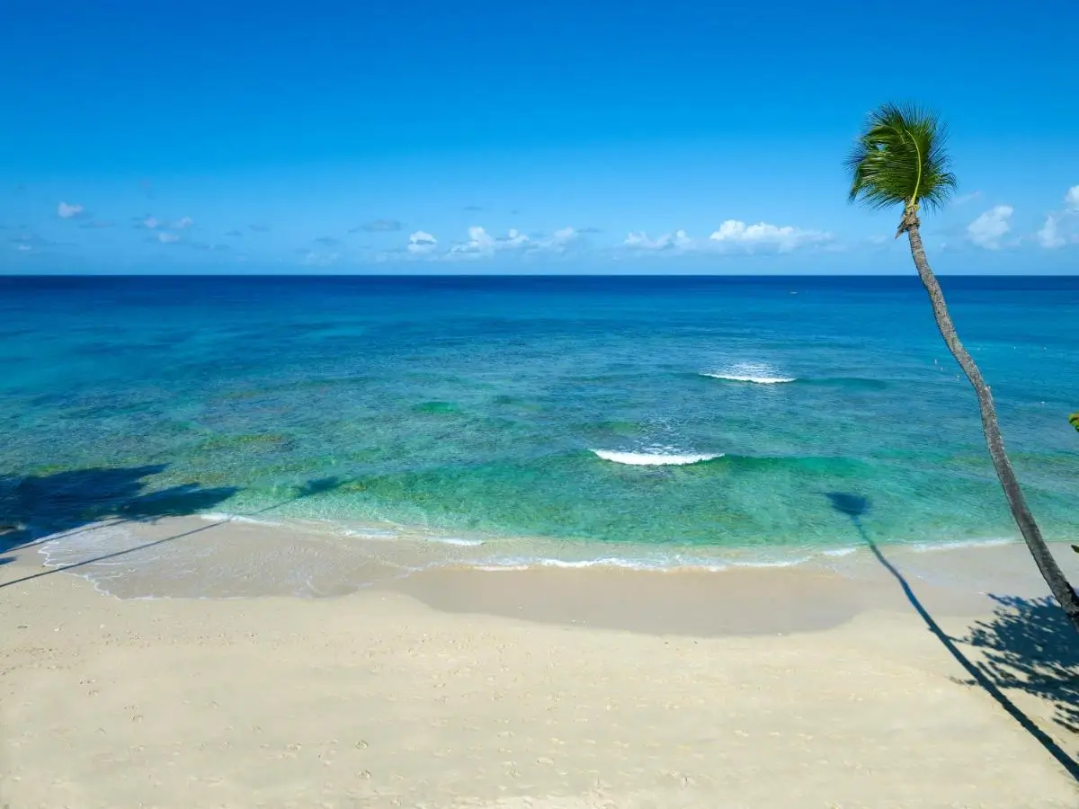 tengerparti_eskuvo_barbados_tamarind_2